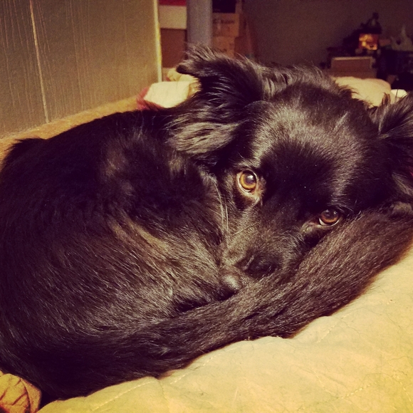 Meet your Posher - Picture 7 of 7